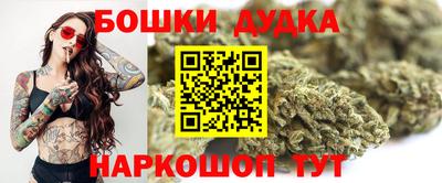 apvp Канаш